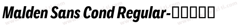 Malden Sans Cond Regular字体转换